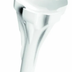 Champ White Zarma Fly Tee 44Mm -Clubs Shop IMG 1482