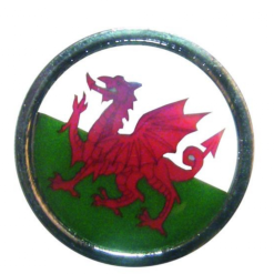 Nations Flat Ball Marker 10 Nations Flat Ball Marker -Clubs Shop IMG 6114